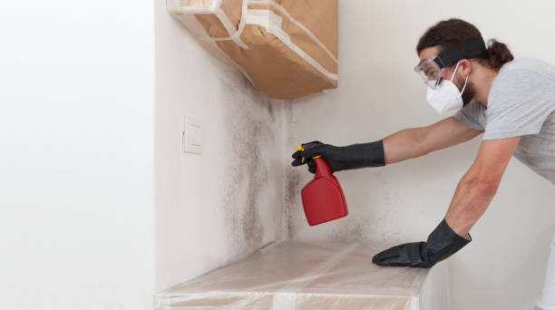 Professional Commercial Mold Remediation technician working in Township Of Washington, NJ